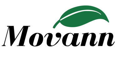 Movann International logo
