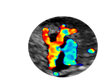 Dr.Orosz Gábor szülész-nőgyógyász Székesfehérvár logo