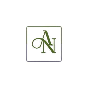 A&N Cleaning Llc logo
