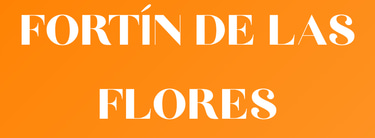 Fortin Veracruz logo