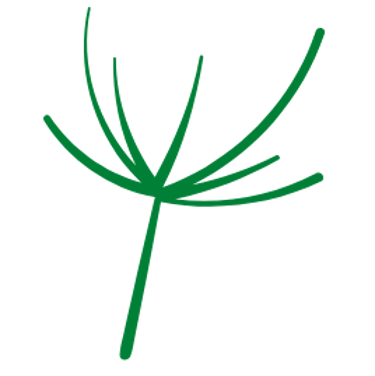 Pedogee logo