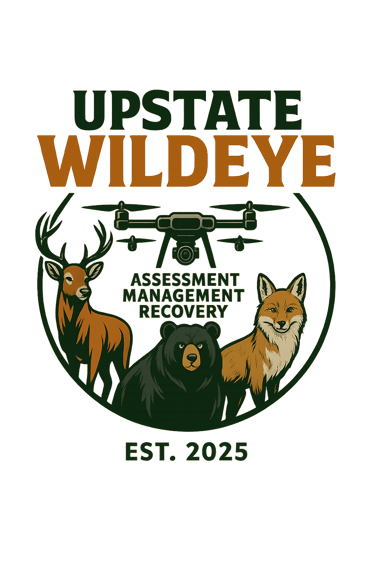 Upstate WildEye logo