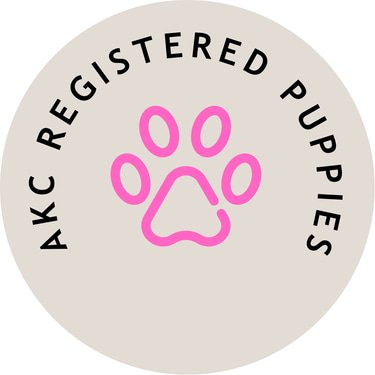 AKC Puppies logo