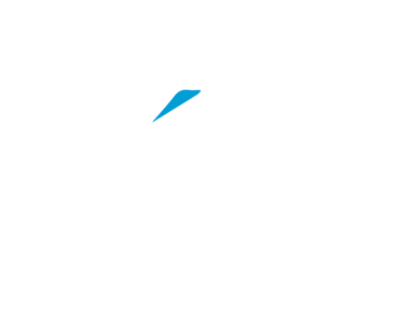 Vyon logo