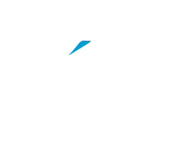 Vyon logo