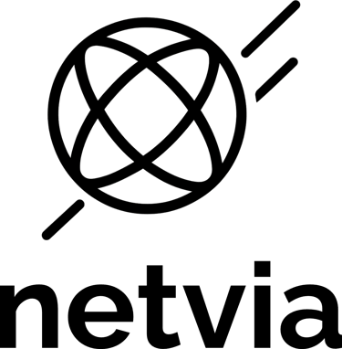 netvia logo