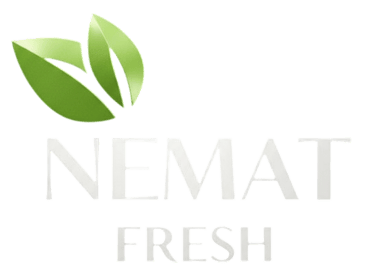 Nemat Fresh logo