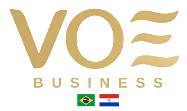VOE Business logo