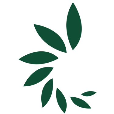 Clever Eco Nest logo
