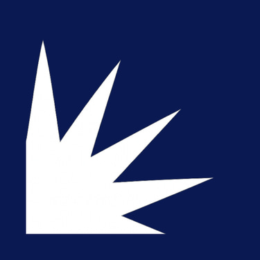 Energía Austral logo