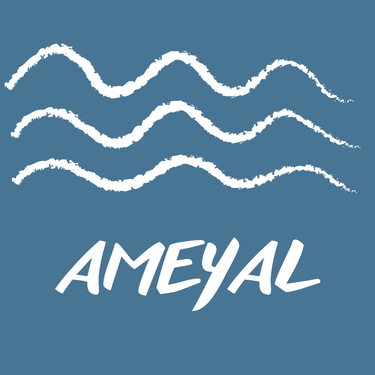 Ameyal Radio logo
