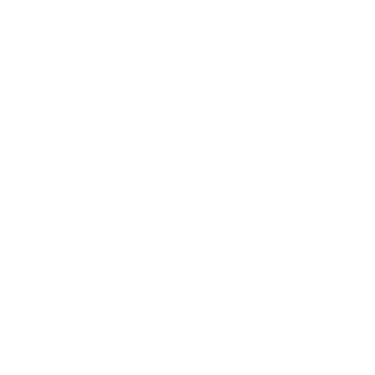 soul in motion logo