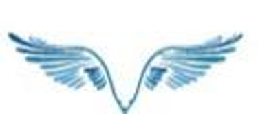 VELSA VEGETABLE PRODUCTS PRIVATE LIMITED logo