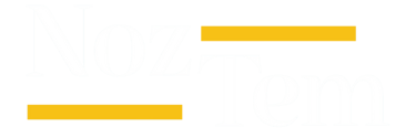 Noz Tem logo