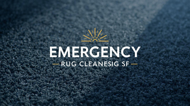 Emergency Rug Cleaners SF logo