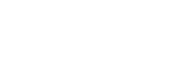 Nine Software Solutions logo