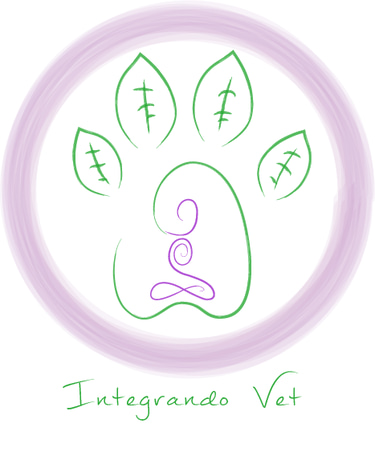 Integrandovet logo
