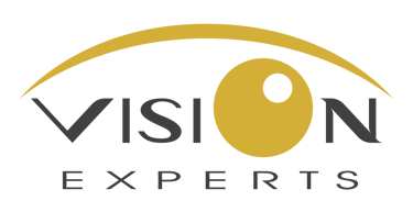 Vision Experts logo