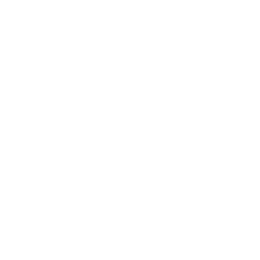 Instituto Recanto da Melhor Idade logo