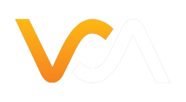 VISION VET logo