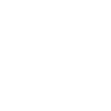 EZRASPIKE logo