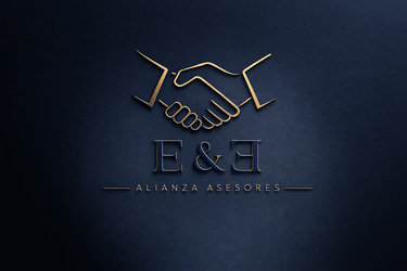 E&E Alianza Asesores logo