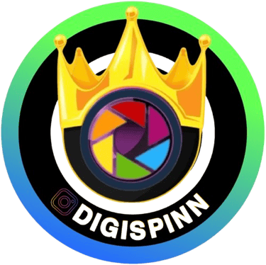Digispinn LLC logo