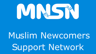 MNSN logo