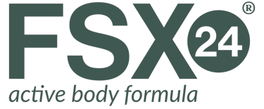 FSX24 logo