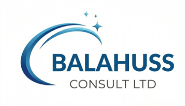 DataStrat Consulting logo