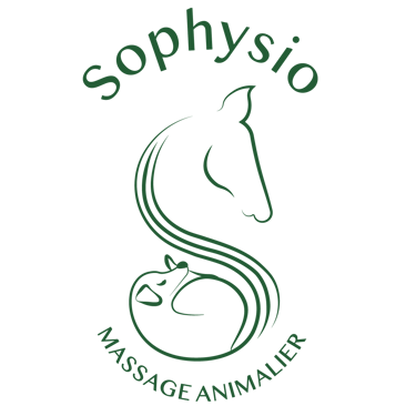 sophysio massage animalier logo