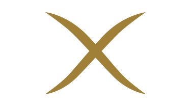 Expert Solutions logo