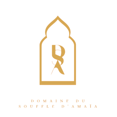 Domaine du souffle d'amaia logo