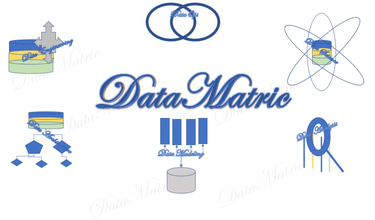 Datamatric logo