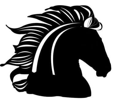 RAPO Raúl Alejandro Padilla Orozco logo