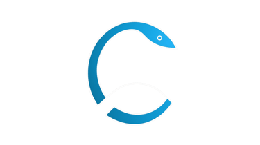 oscar web design  logo