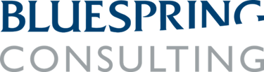 Bluespring Consulting logo