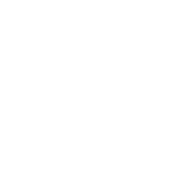 Break The Limit Media logo