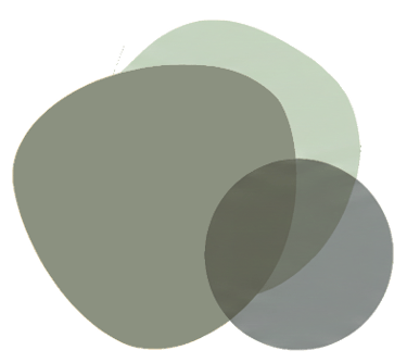 Coherencia Bio-Emocional logo