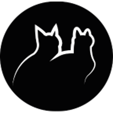 Gato Preto Dá Sorte logo