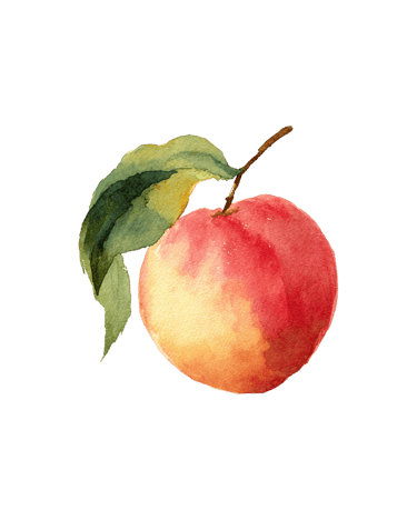 Diario de calma y aroma logo