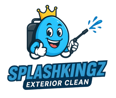 Splashkingz Exterior Clean logo