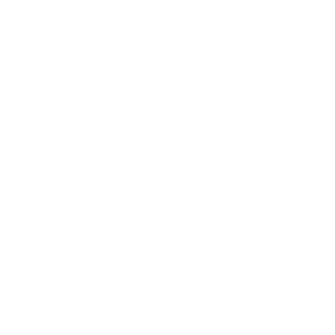 Leadership & authority strategist logo