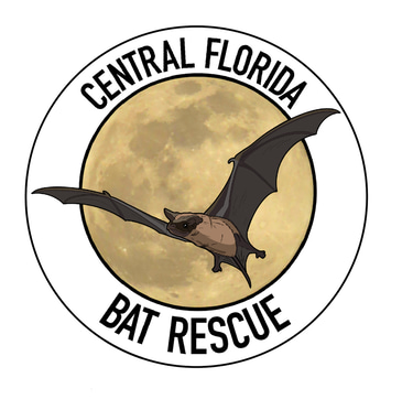 Central Florida Bat Rescue logo