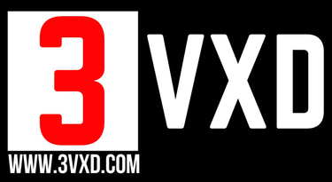 3VXD logo