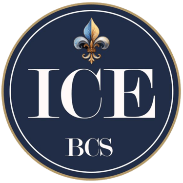 Icebcs logo