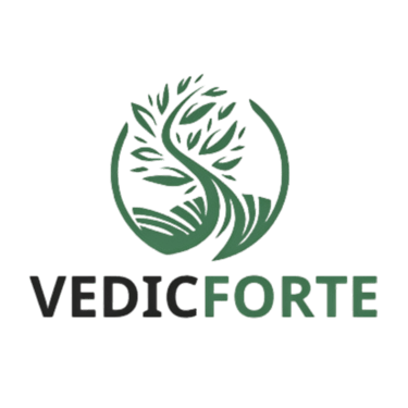 Vedicfort logo