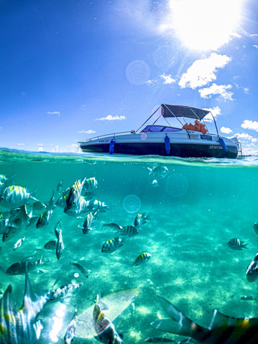 AVpasseiosmaragogi logo