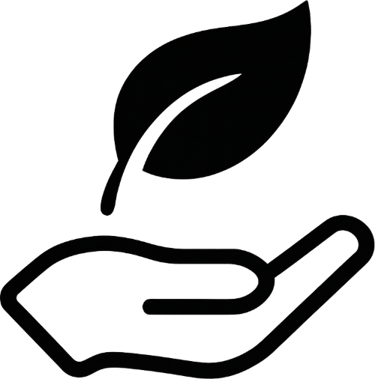 Grace After Divorce logo