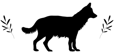 LA Hundewäsche logo